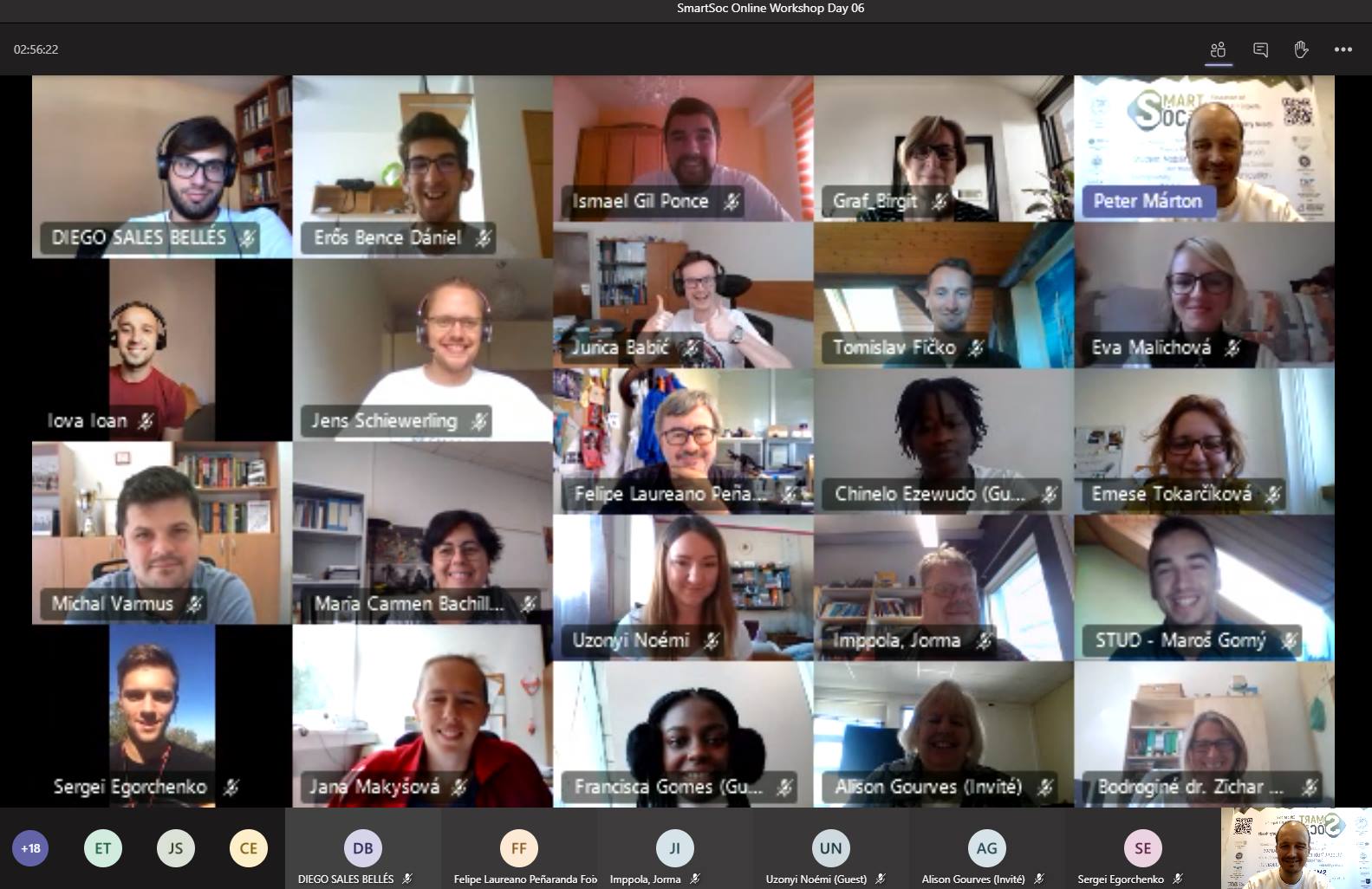 SmartSoc online workshop video call